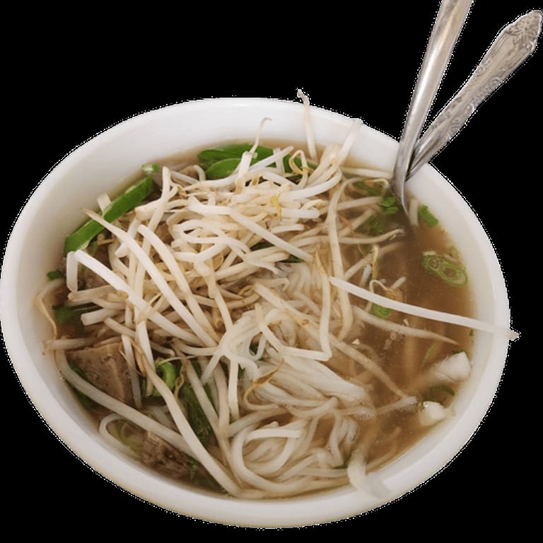 Delicious Pho and Asian Fusion Dishes