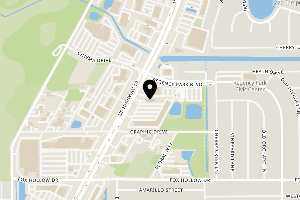 Map showing the location of Grille One Nine Asian Fusion on 10164 US-19 in Port Richey